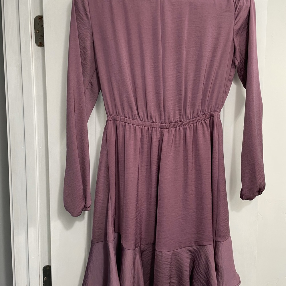 Express Dress - Picture 3 of 4
